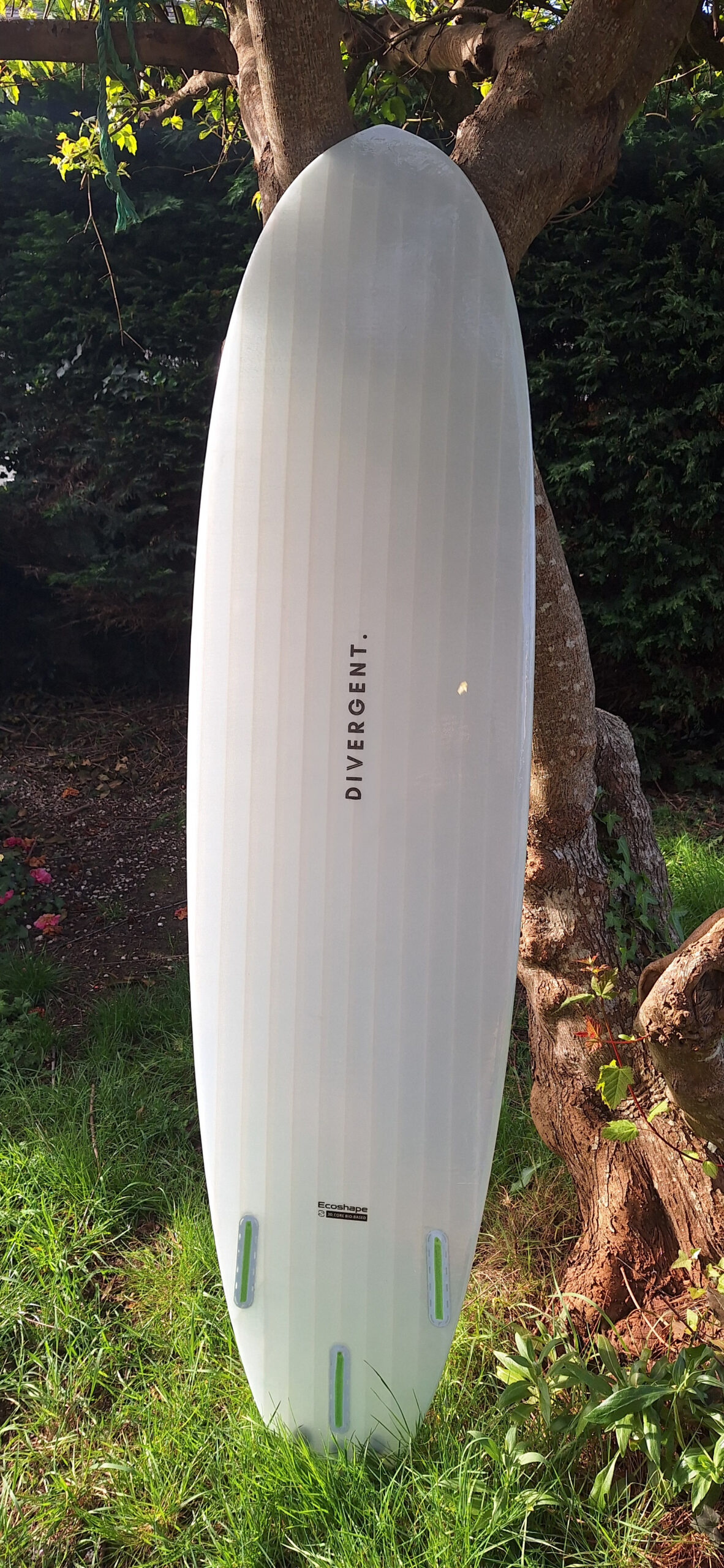 Surf 3D Malibu – Image 2